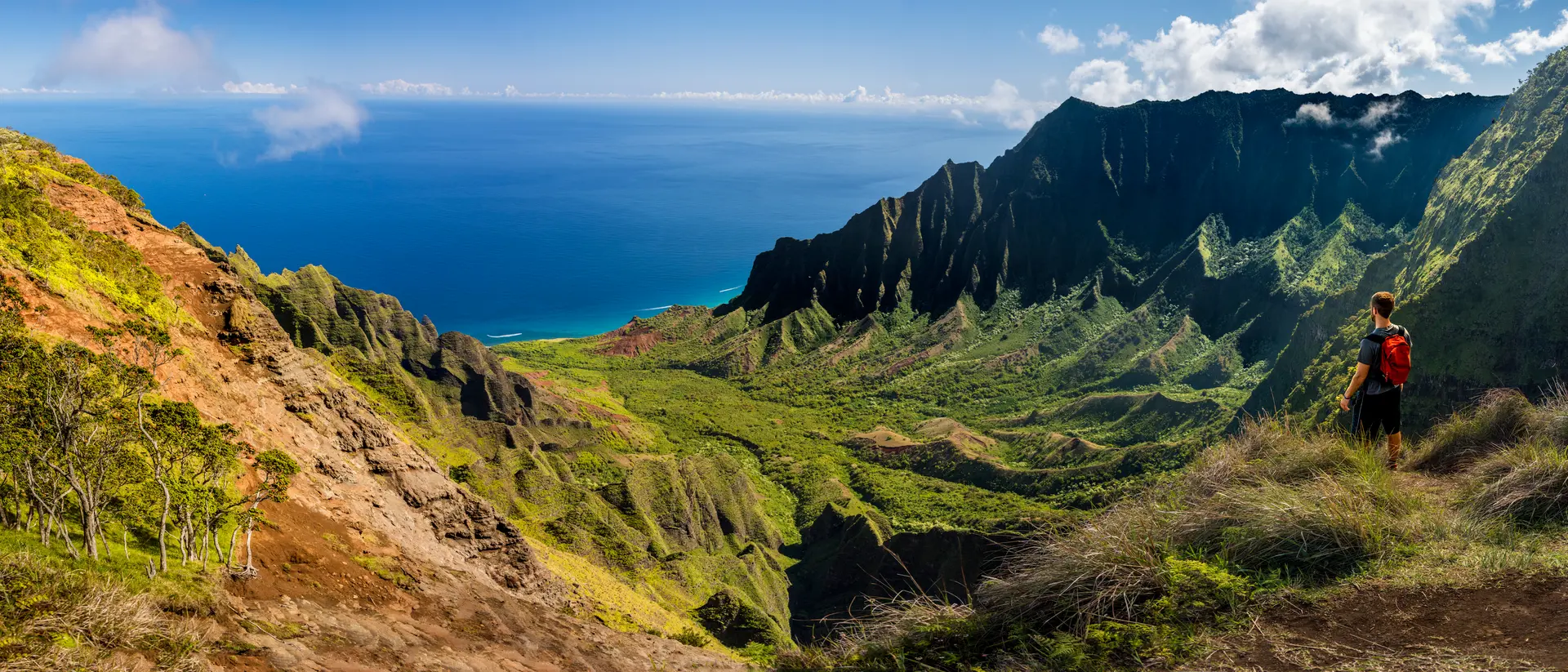 Kauai's Kalepa Ridge