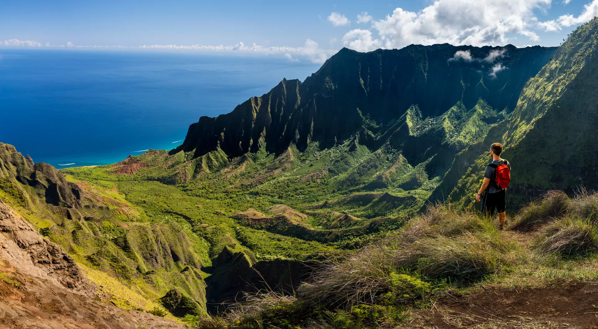 Kauai's Kalepa Ridge