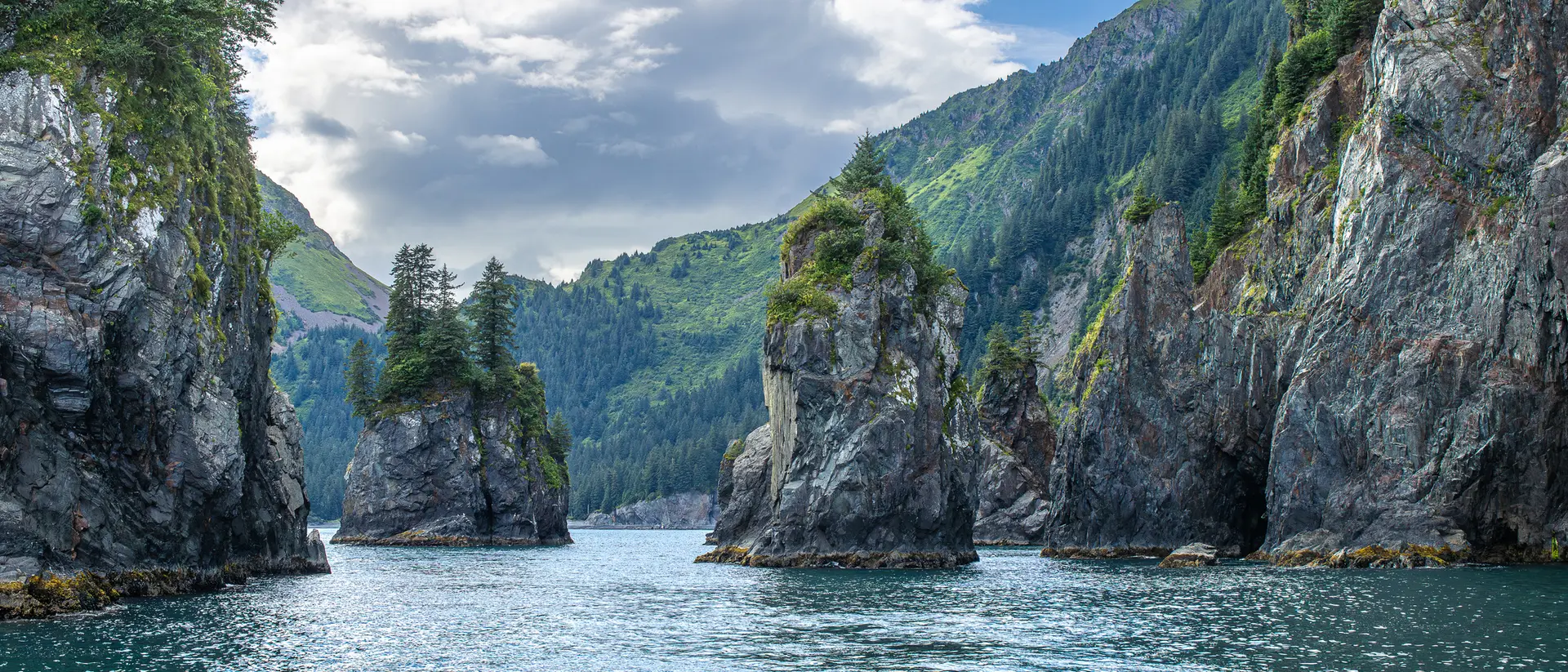 Kenai Fjords