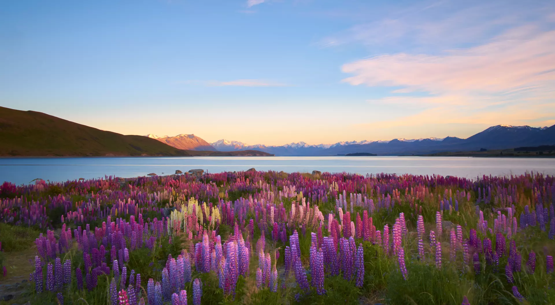 Lake Tekapo