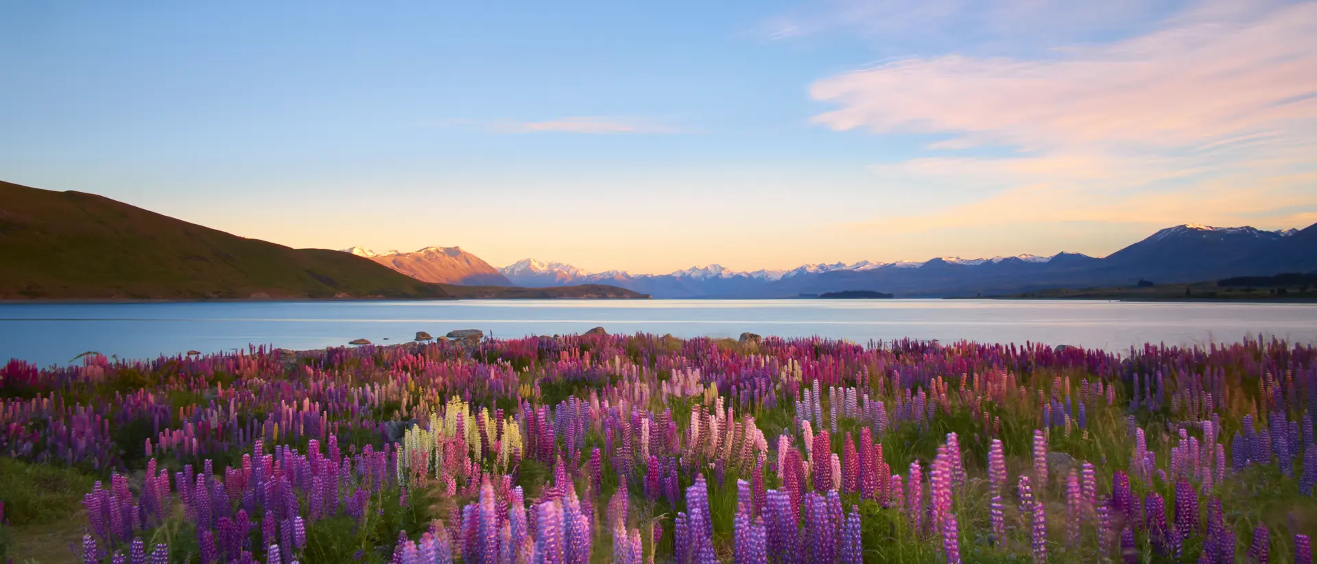Lake Tekapo