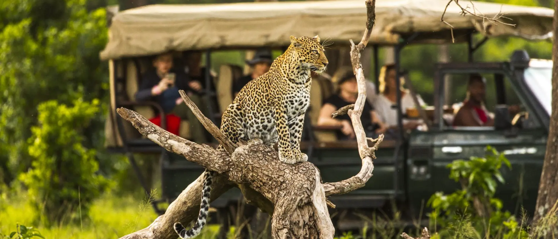 On Safari in the Masai Mara