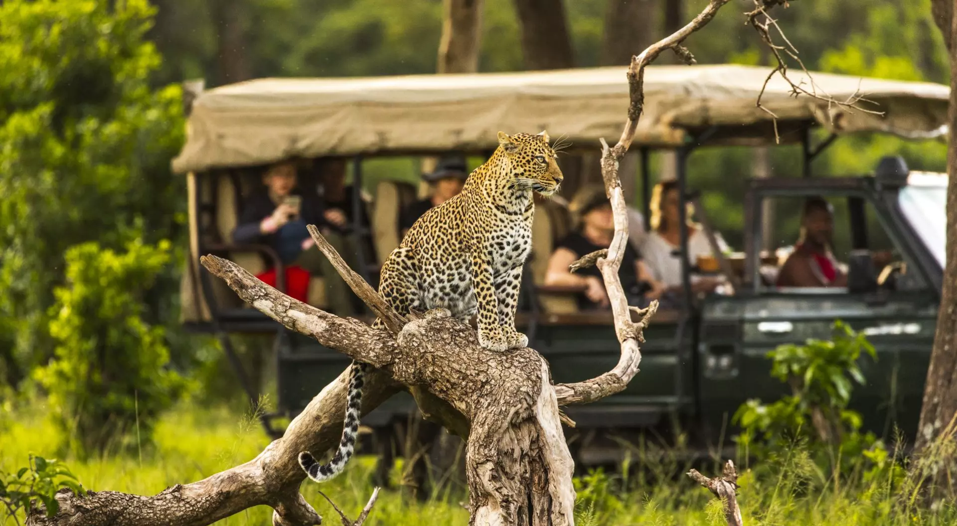 On Safari in the Masai Mara