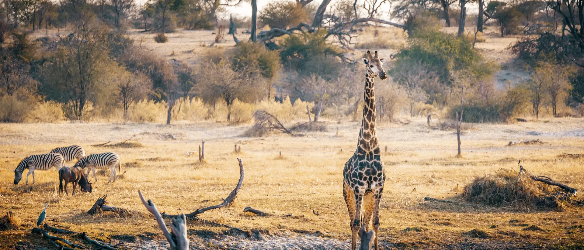 Makgadikgadi Pans National Park, Botswana.