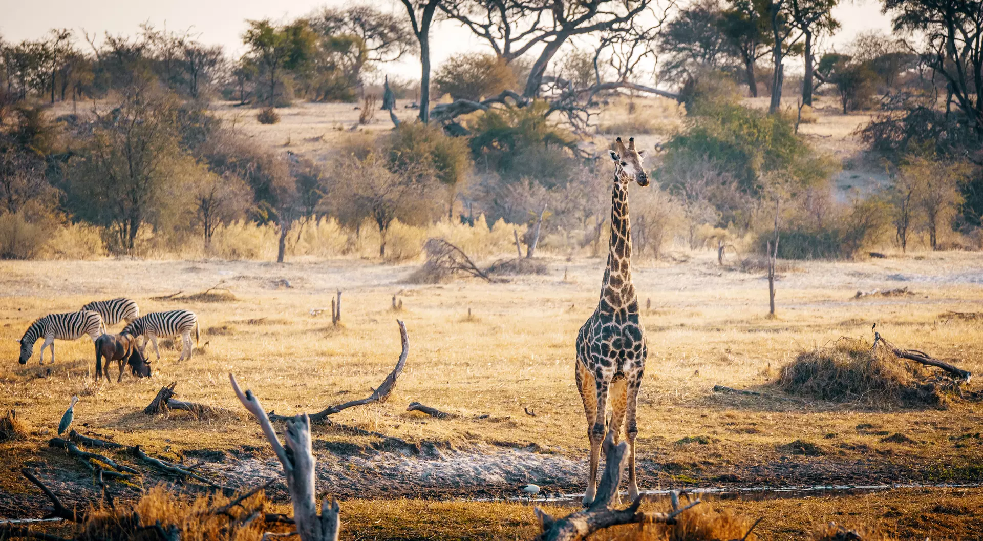 Makgadikgadi Pans National Park, Botswana.