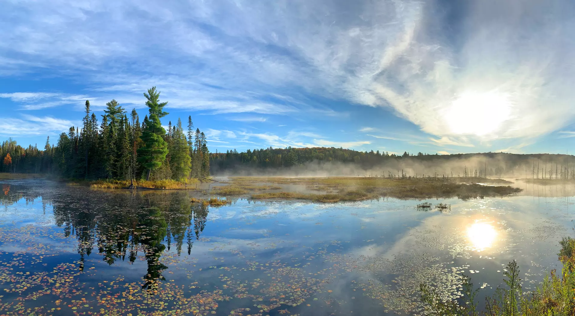 Mizzy Lake trail, Algonquin Park, Canada