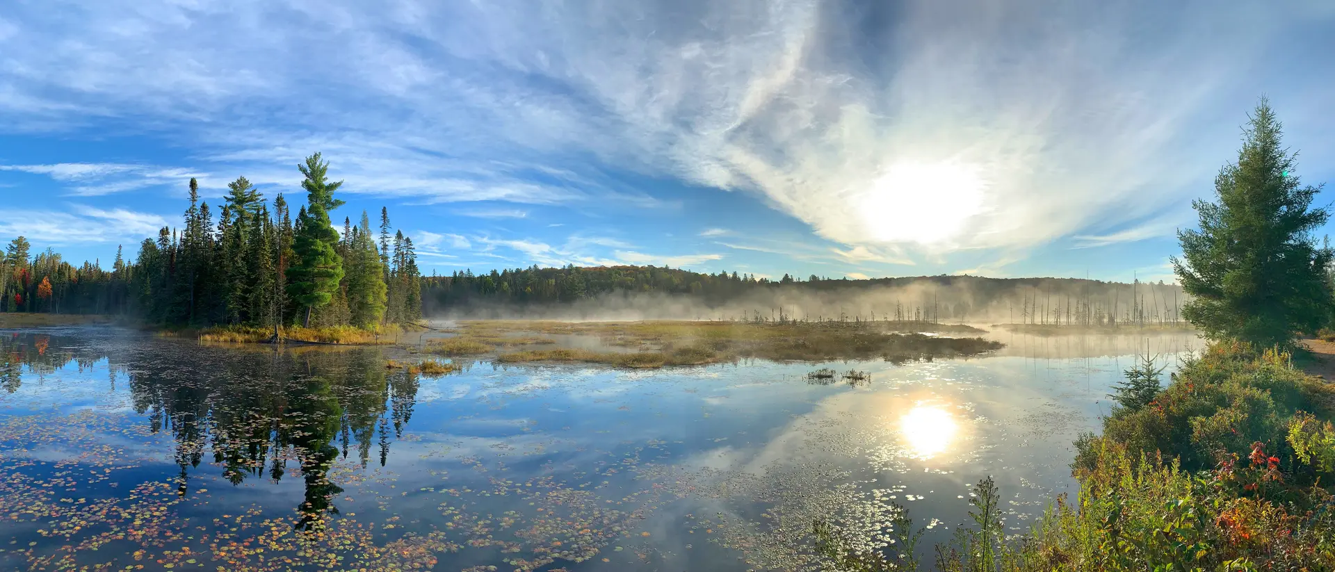 Mizzy Lake trail, Algonquin Park, Canada
