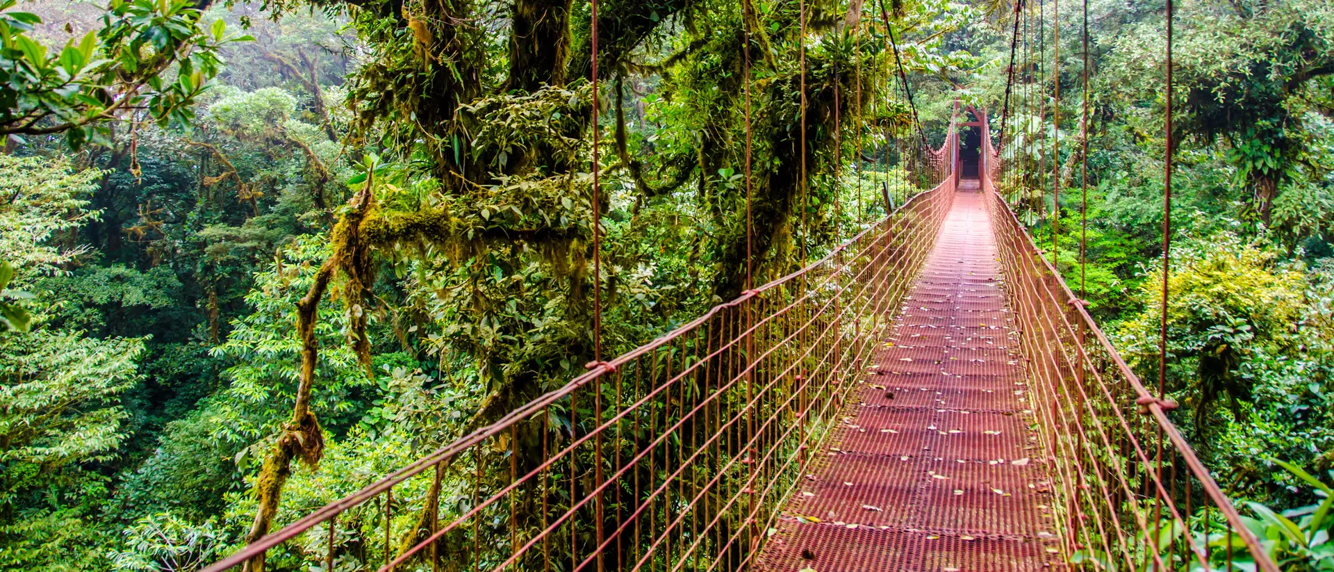 Monteverde