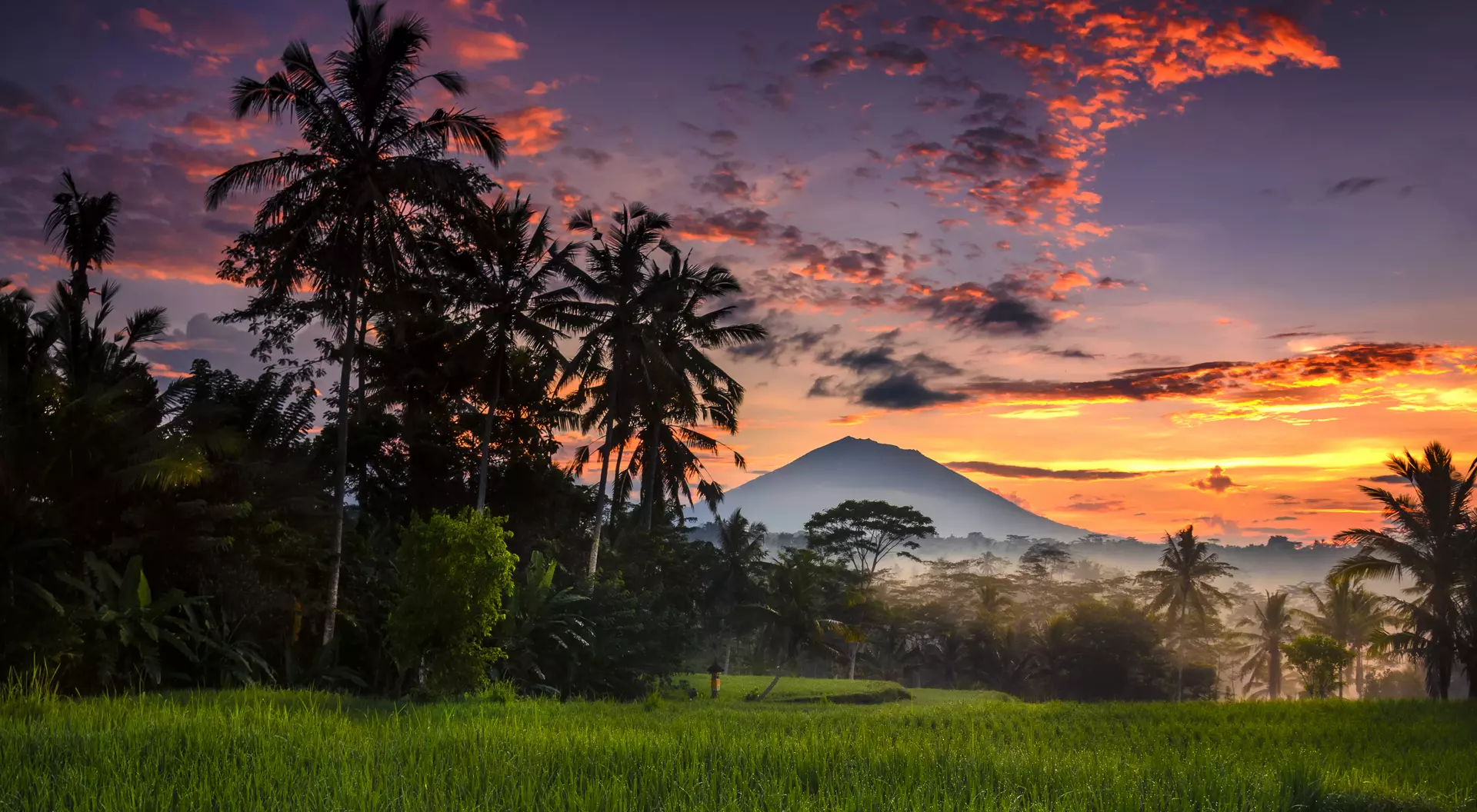 Morning at Ubud