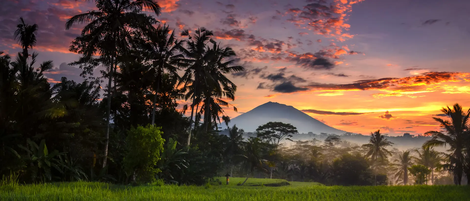 Morning at Ubud