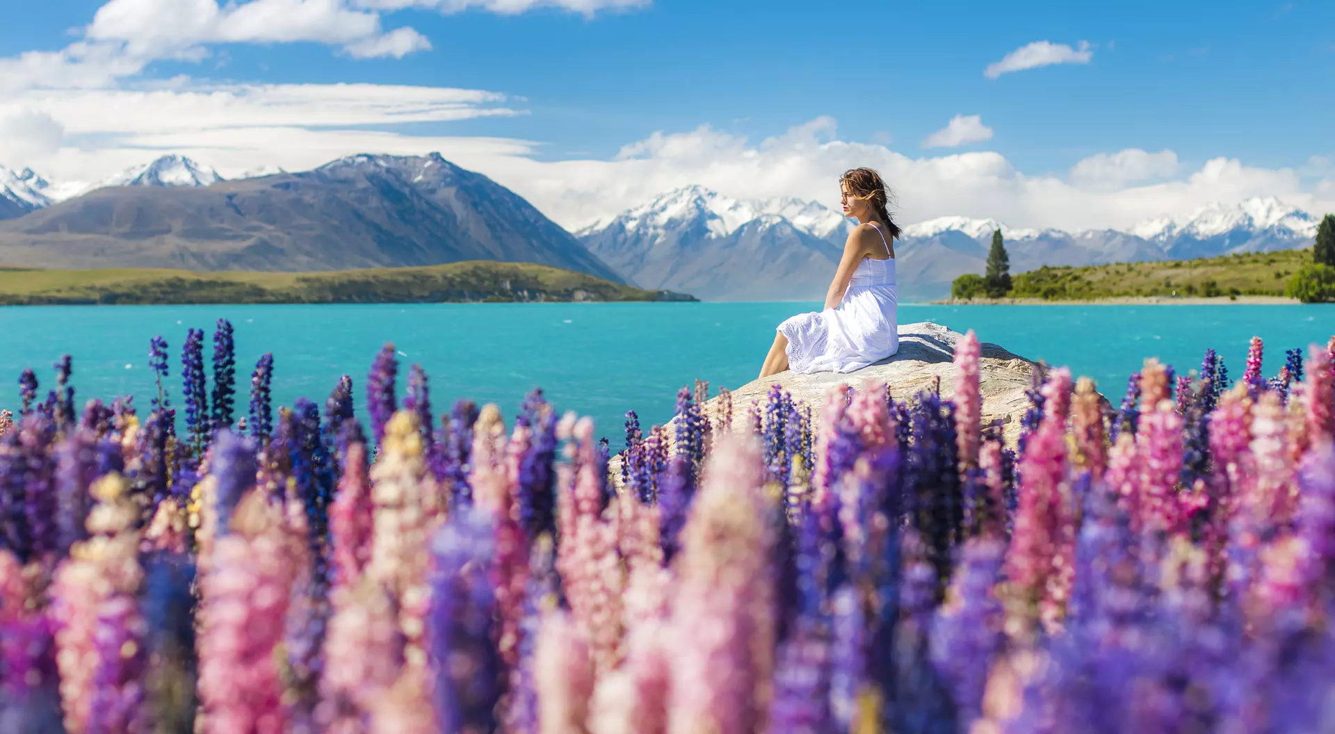 Mt, Cook, New Zealand