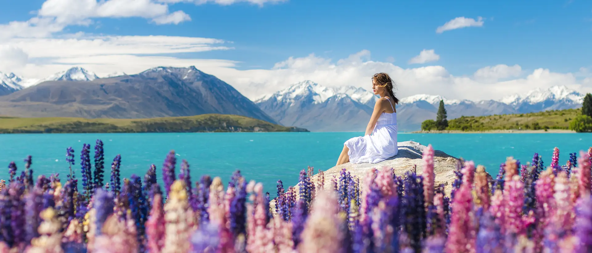 Mt, Cook, New Zealand