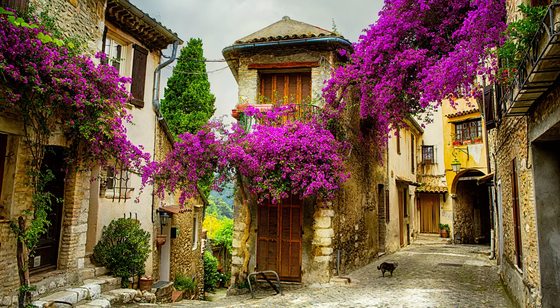 Old Town of Provence