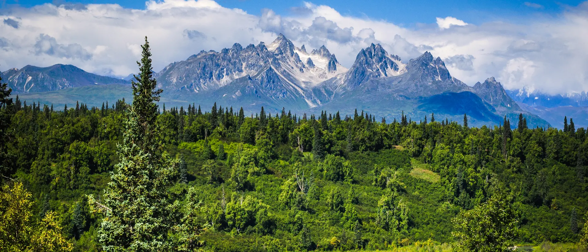 Denali National Park, Alaska