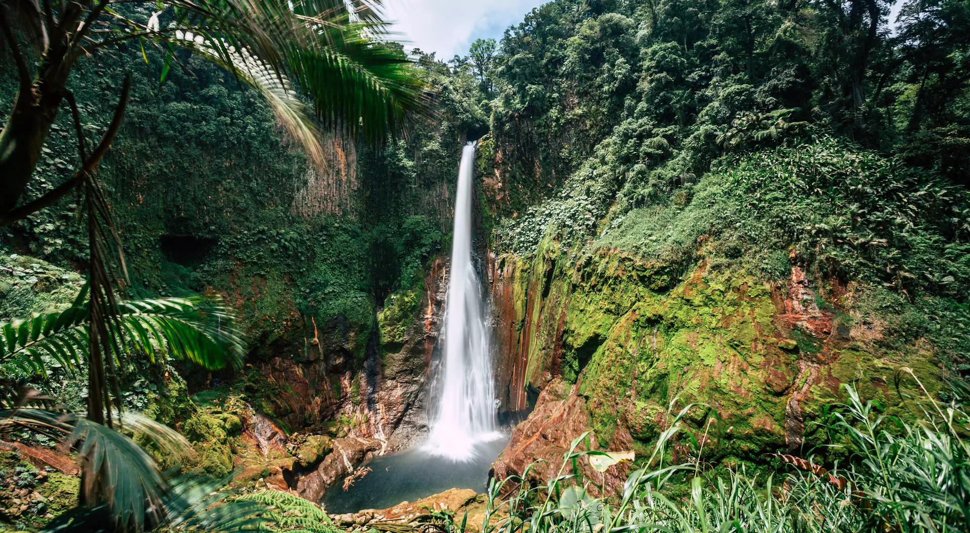 Explore Costa Rica's Rainforests