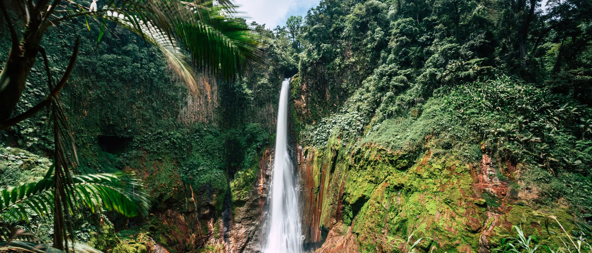 Explore Costa Rica's Rainforests