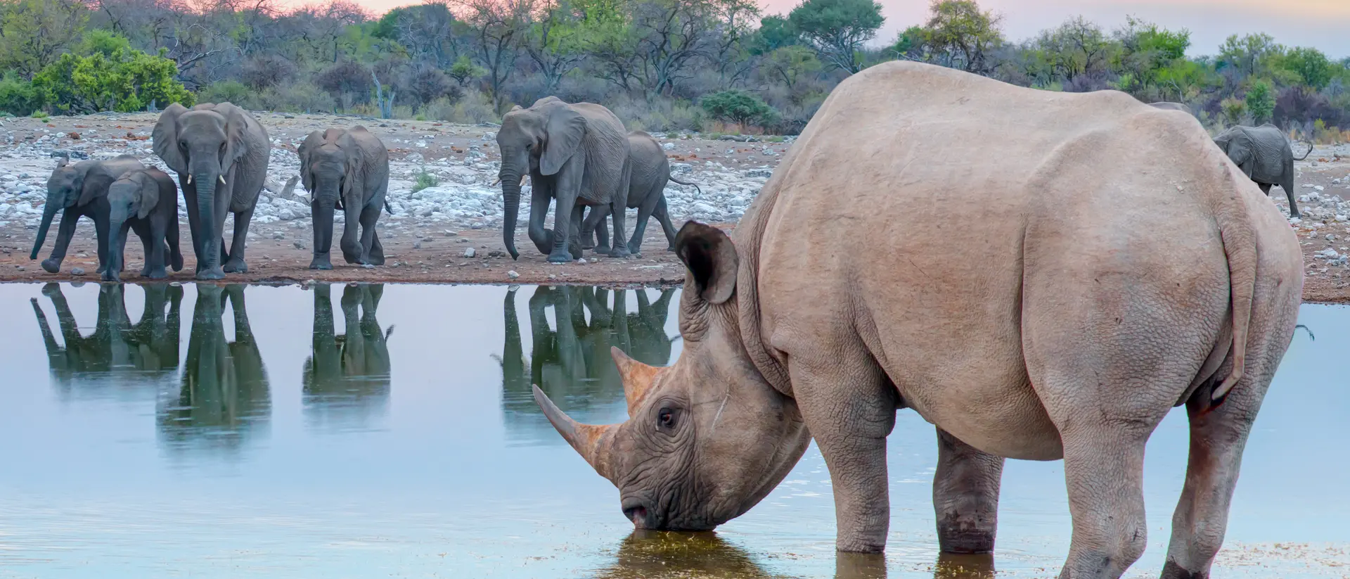 Explore Namibia's Etosha National Park