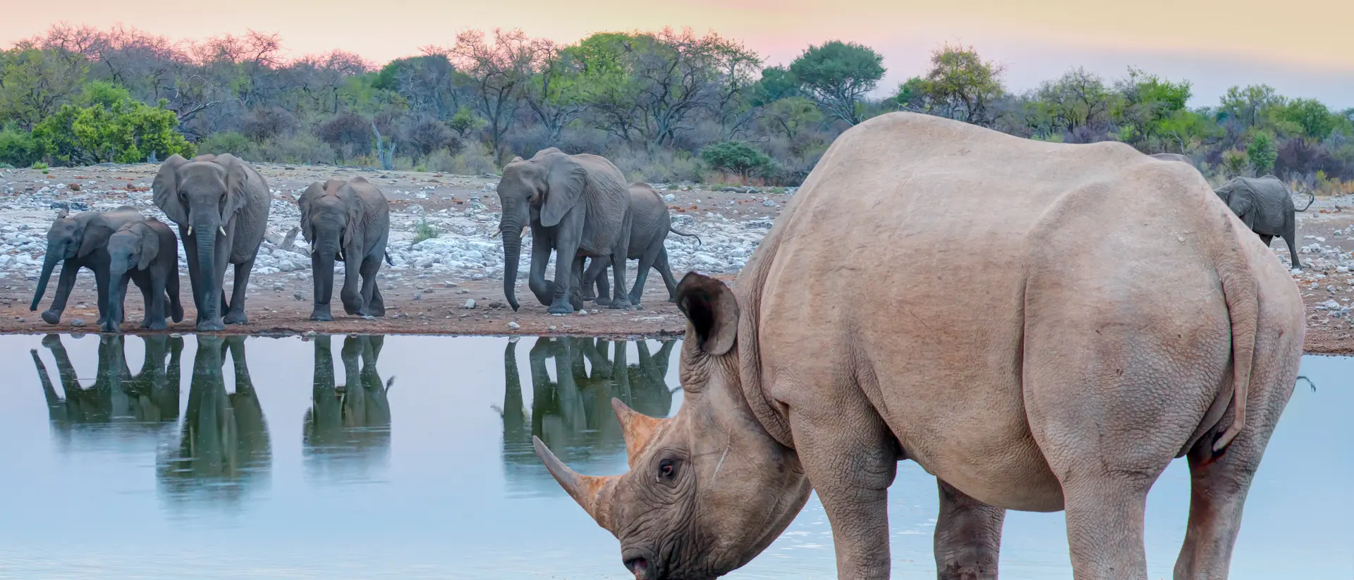 Explore Namibia's Etosha National Park
