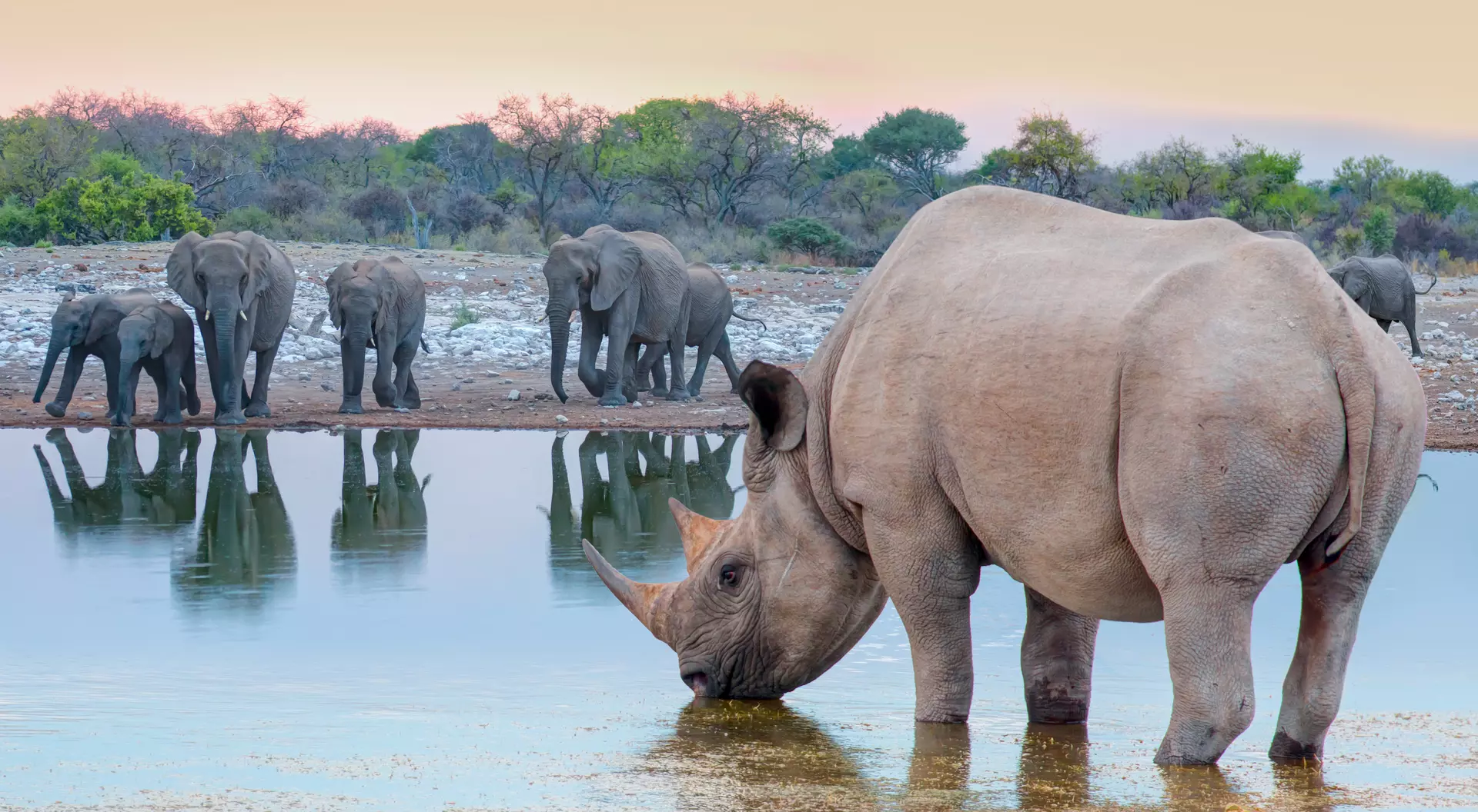 Explore Namibia's Etosha National Park