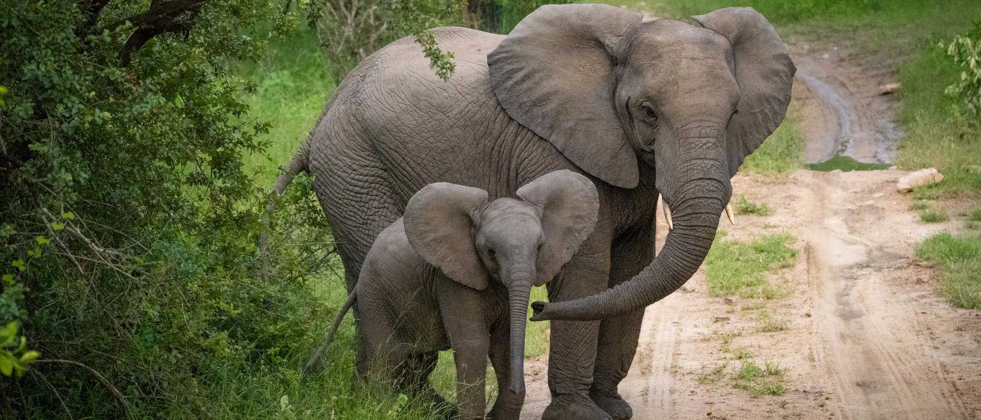 Sabi Sands