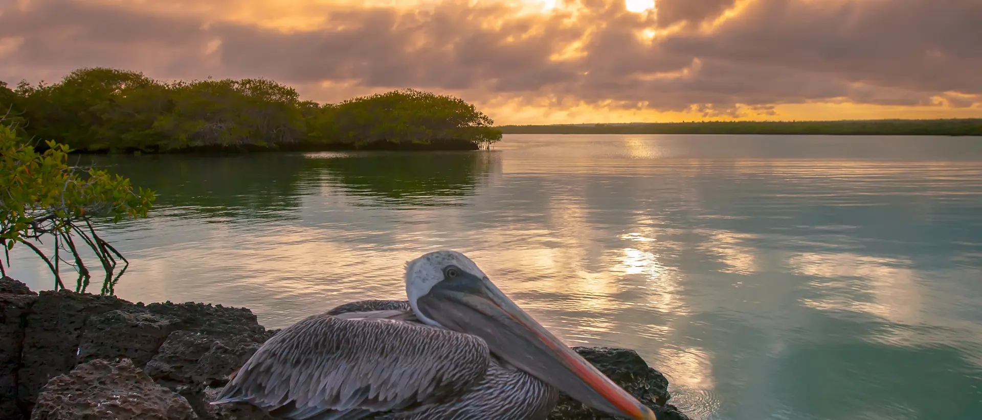 Santa Cruz, Galapagos