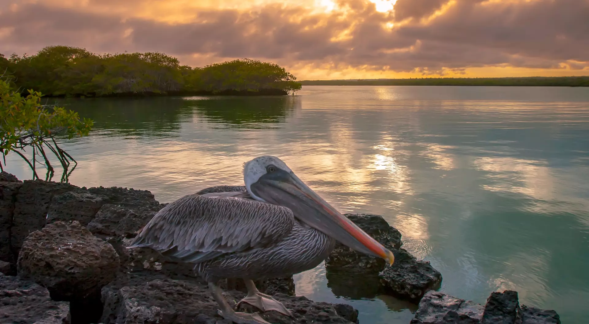 Santa Cruz, Galapagos