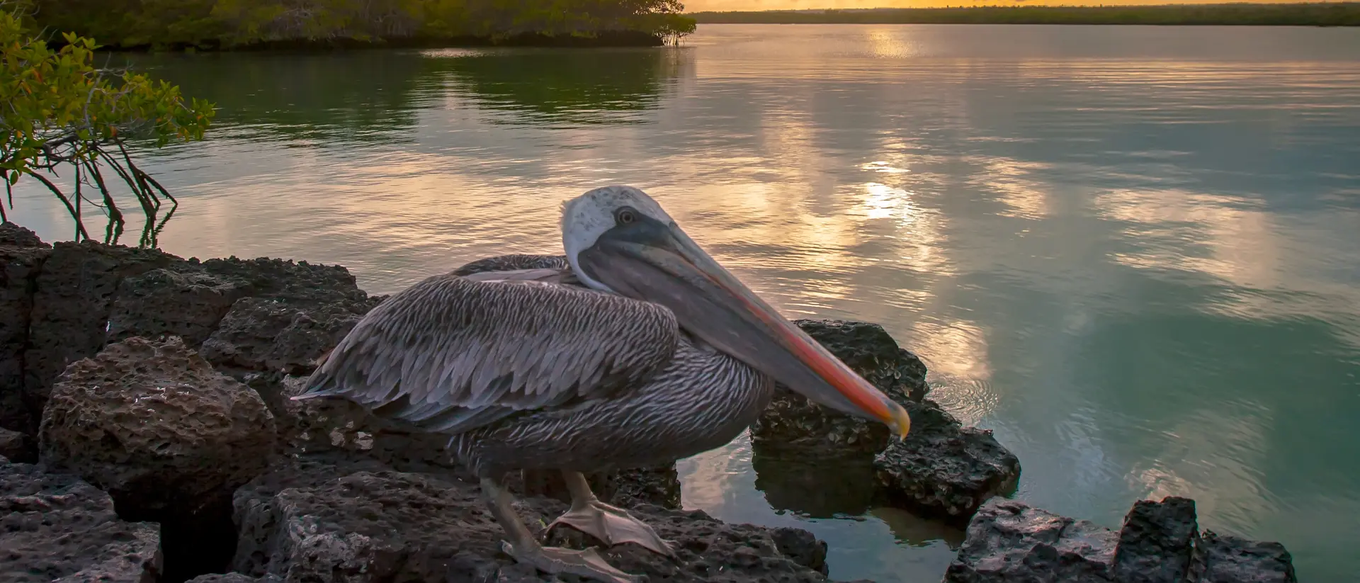 Santa Cruz, Galapagos