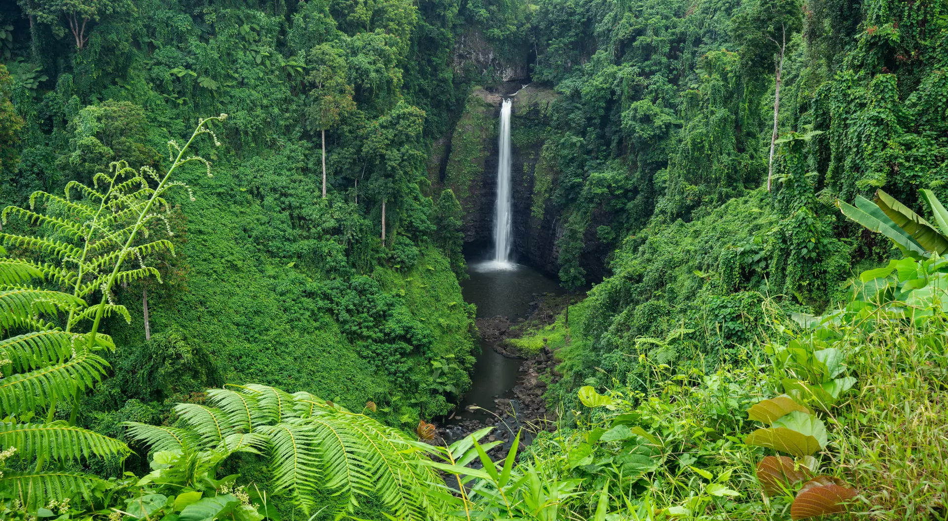 Sopoaga Waterfall amongst lush greenery in Samoa