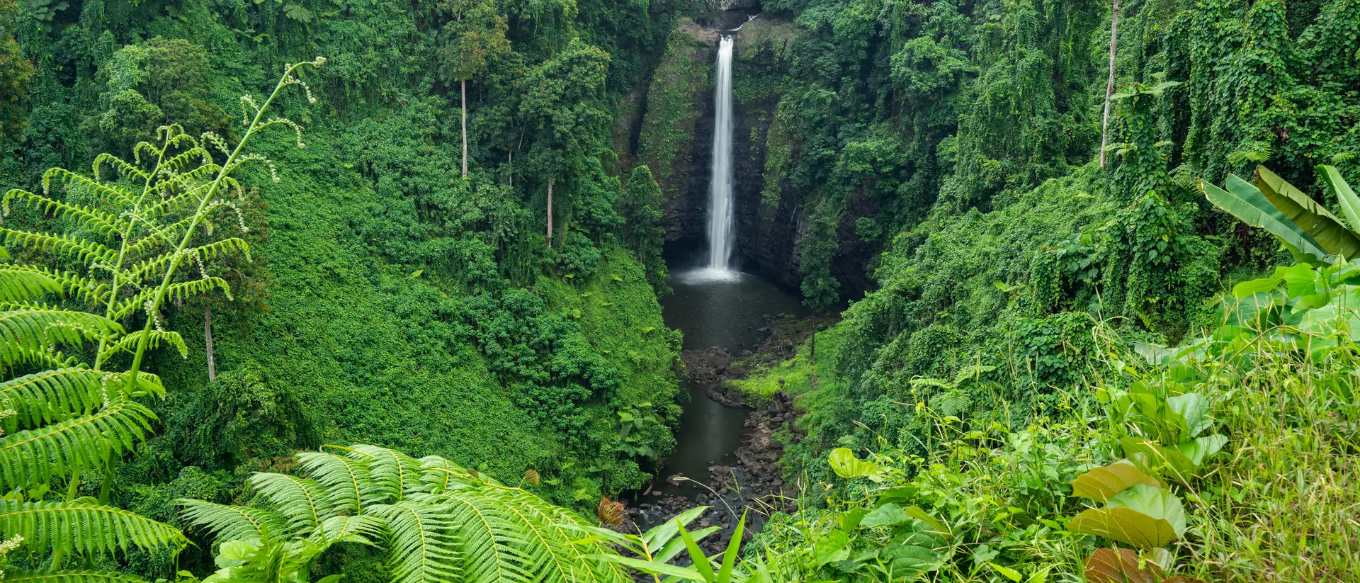 Sopoaga Waterfall amongst lush greenery in Samoa