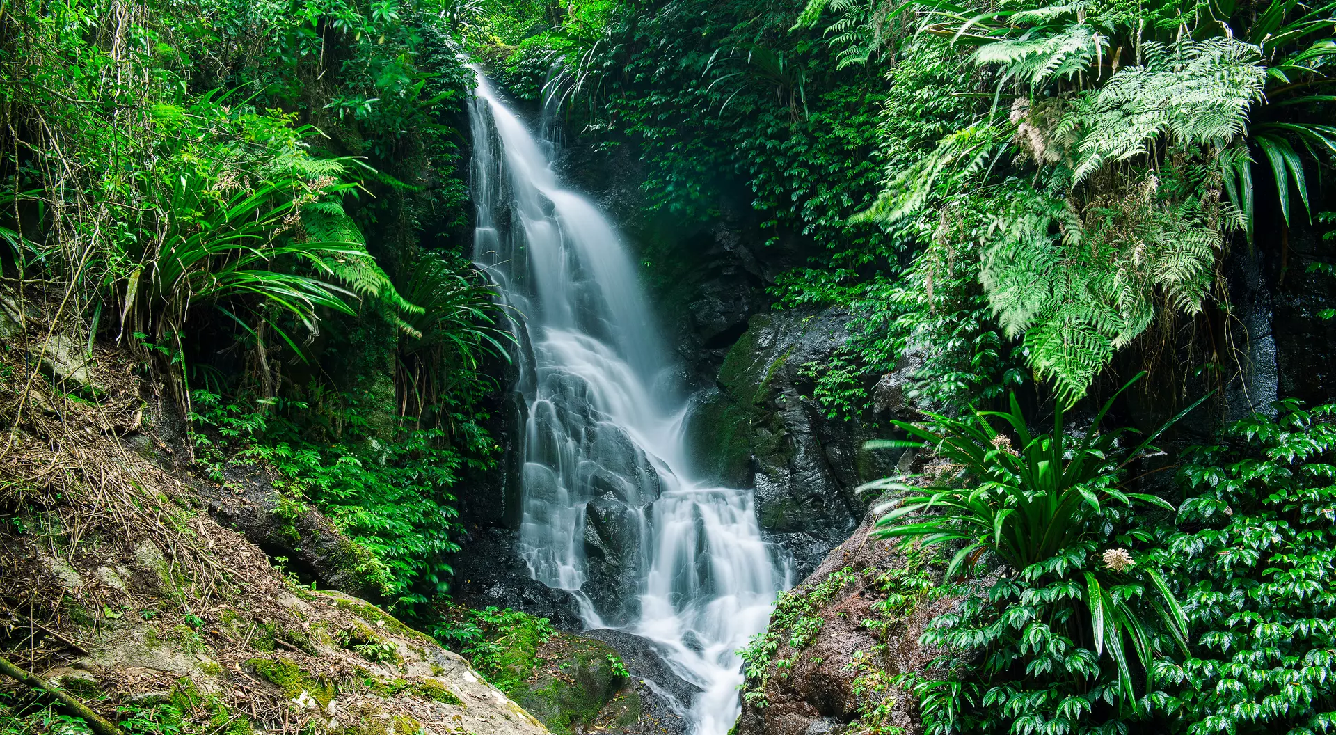 Waterfall in Lamington National Park