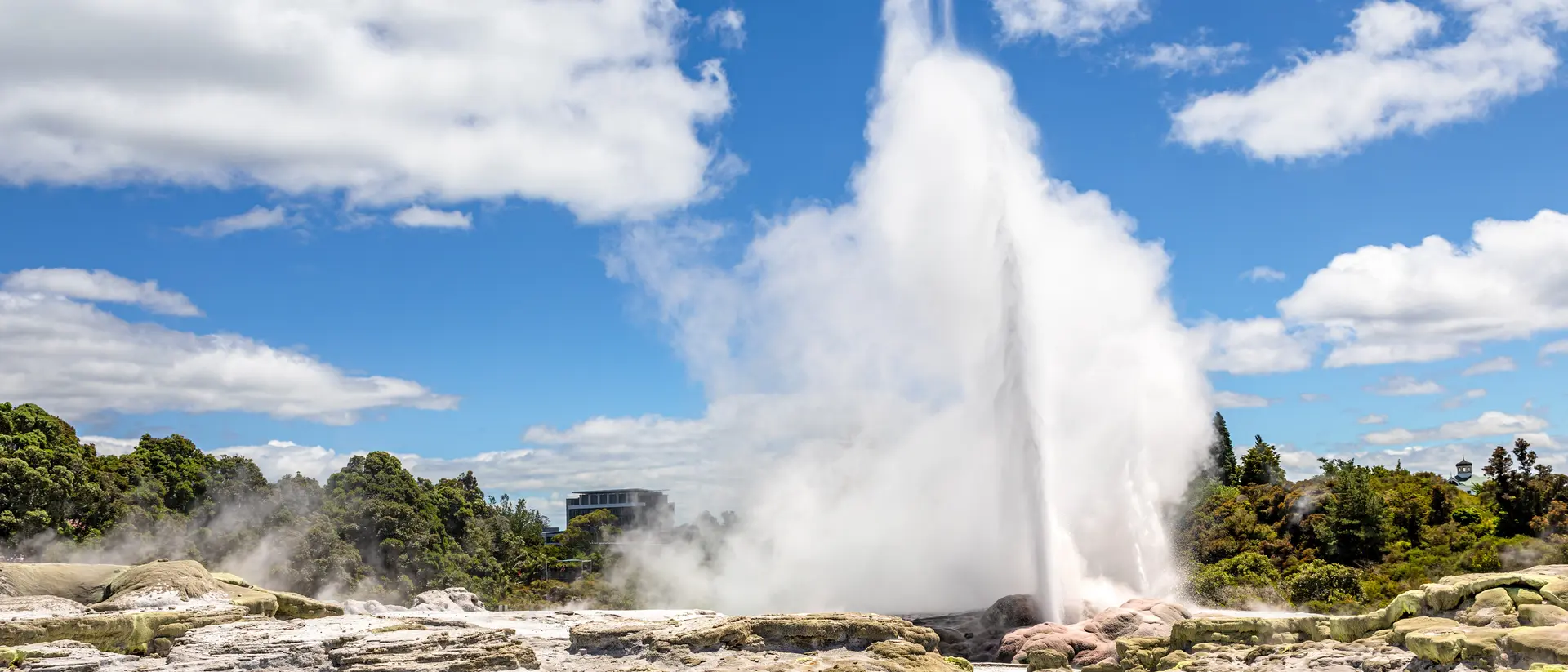 Whakarewarewa Thermal Valley, Rotorua