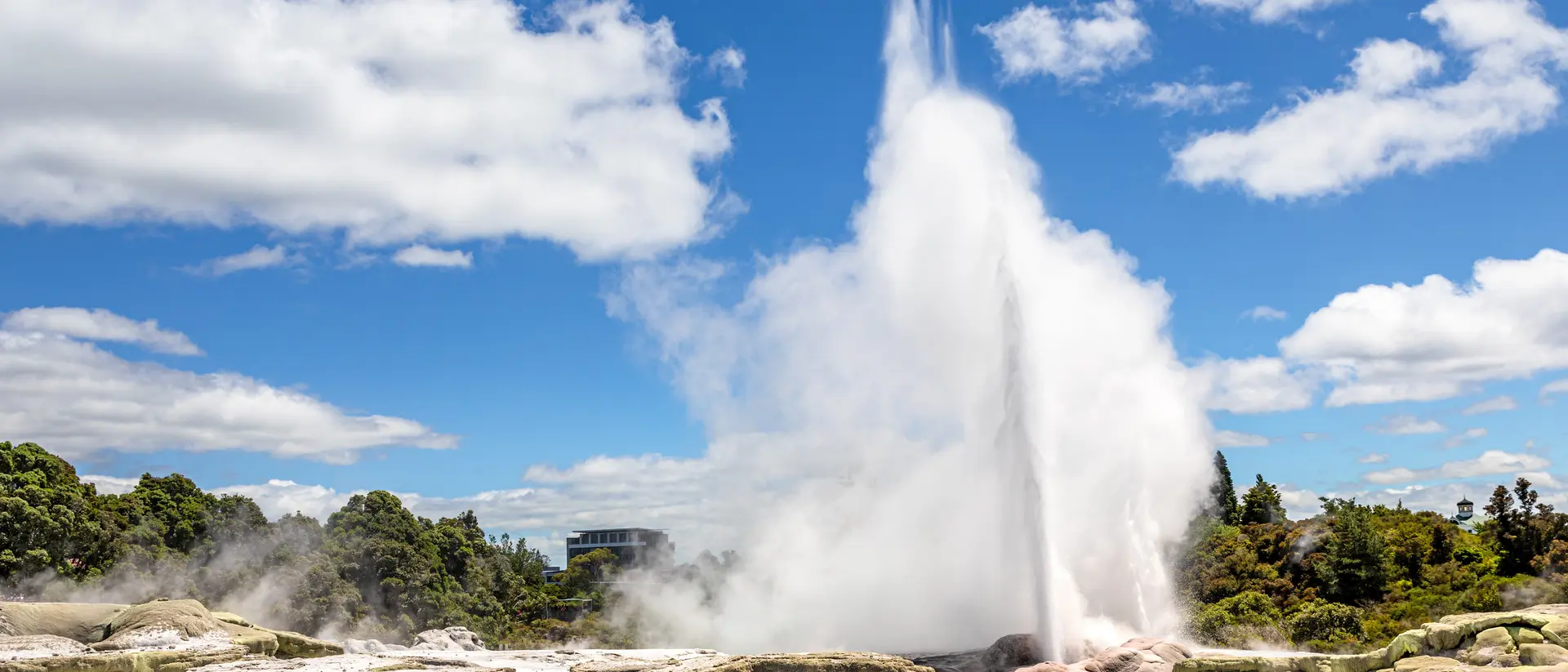 Whakarewarewa Thermal Valley, Rotorua