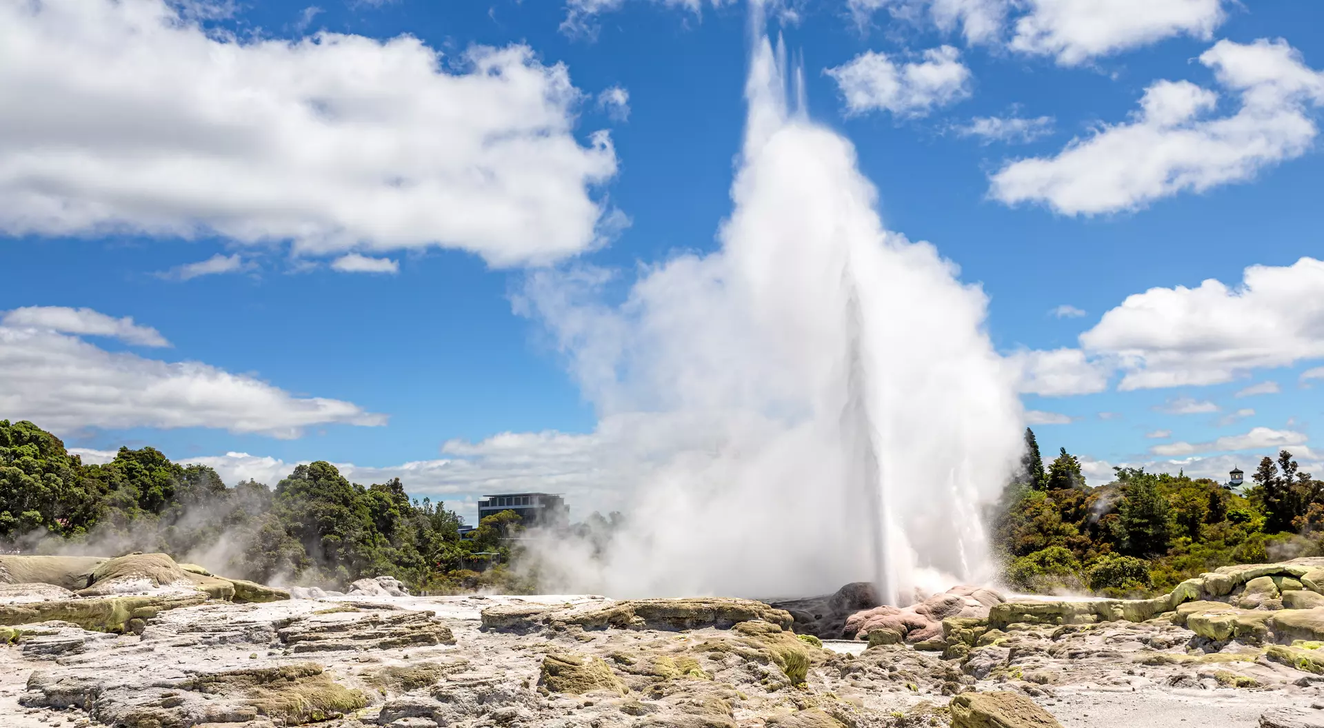 Whakarewarewa Thermal Valley, Rotorua