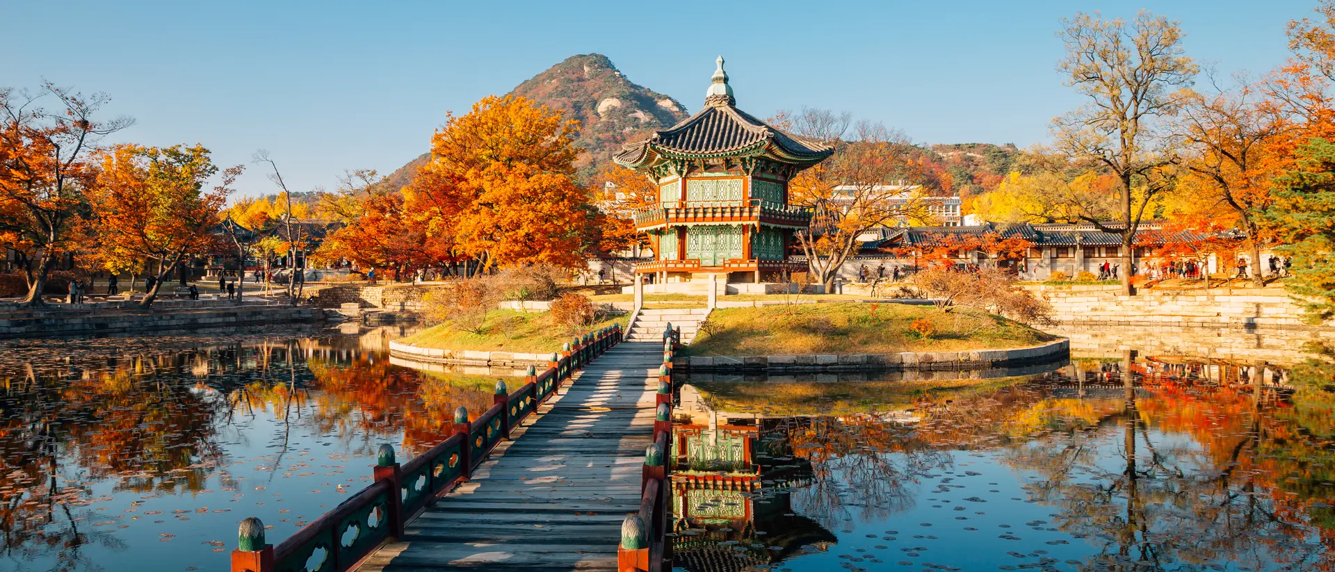 Gyeongbokgung Palace Hyangwonjeong with autumn maple 