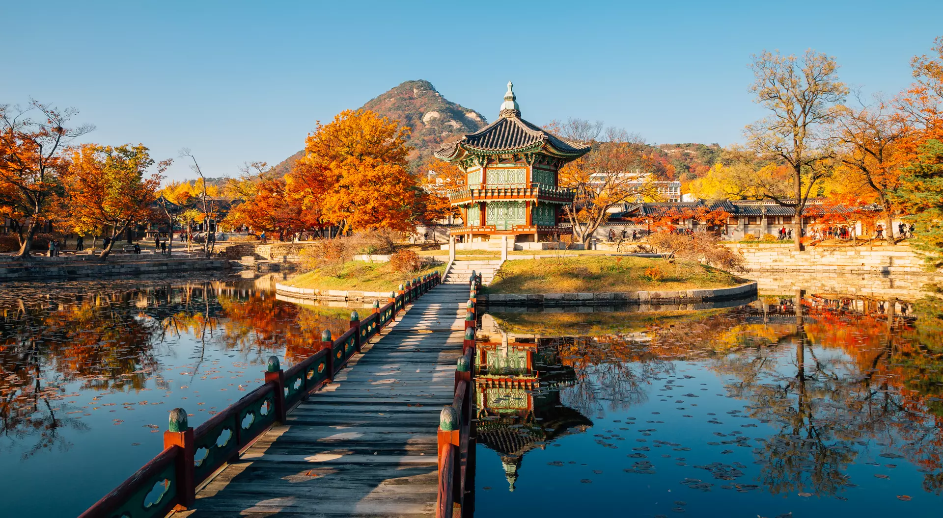 Gyeongbokgung Palace Hyangwonjeong with autumn maple 
