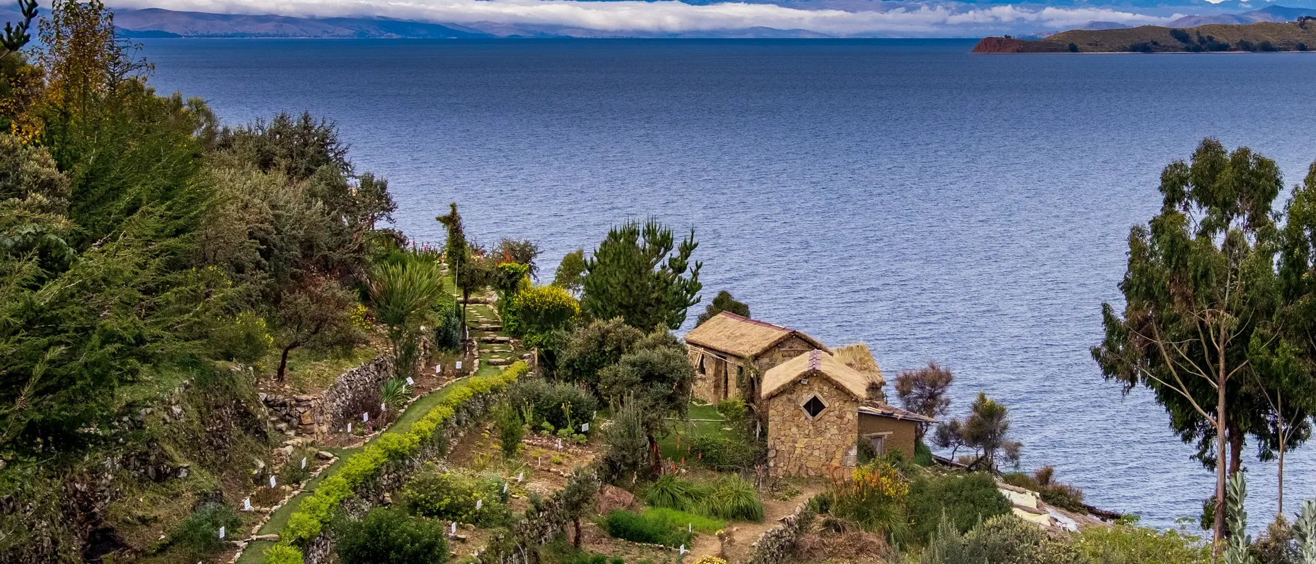 View of Lake Titicaca from Isla del Sol, animal-shaped tree and in the background the Bolivian snowfall