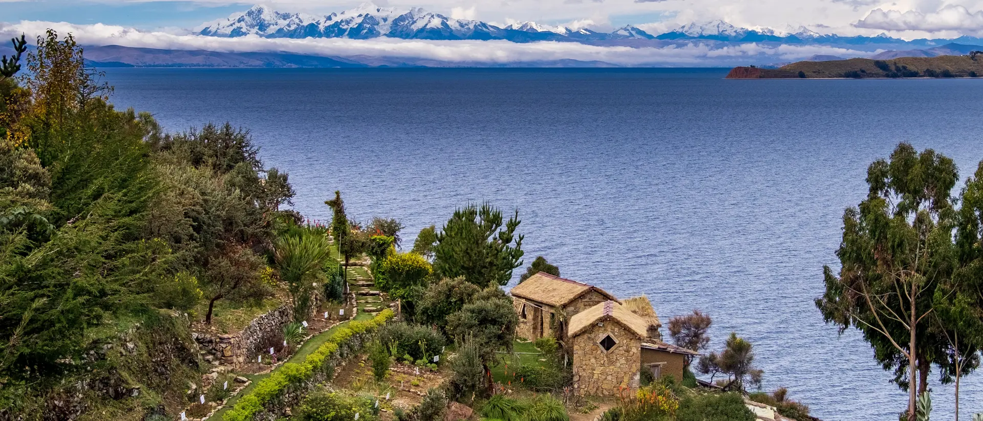View of Lake Titicaca from Isla del Sol, animal-shaped tree and in the background the Bolivian snowfall