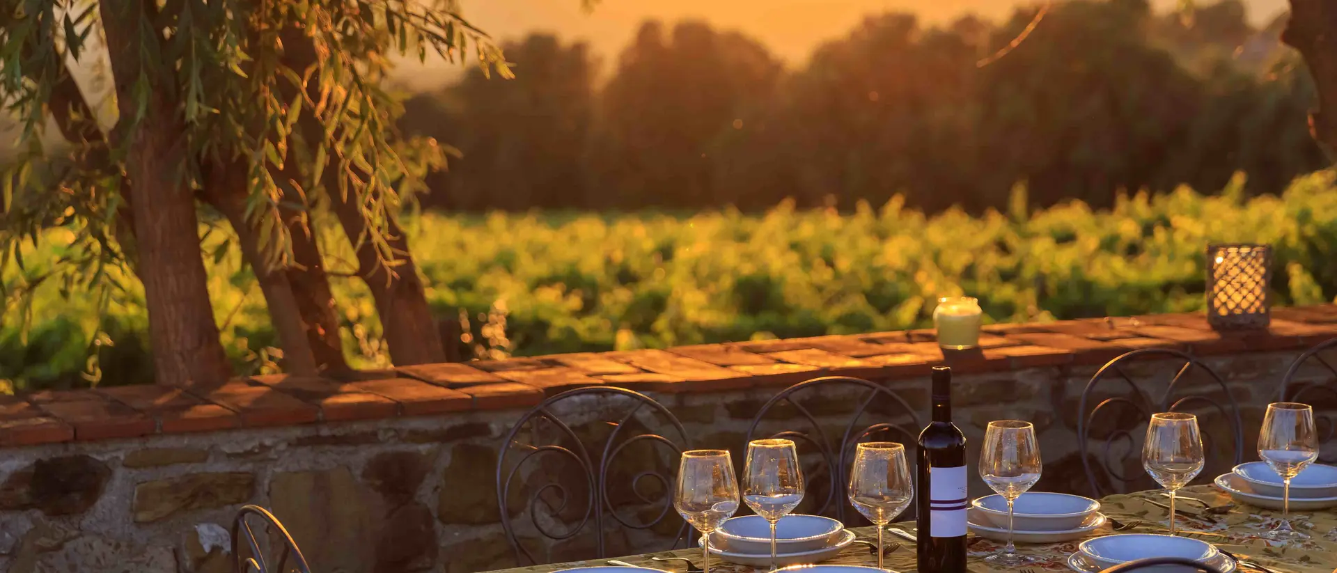 Outdoor table with vineyard background in susnet time in tuscany italy