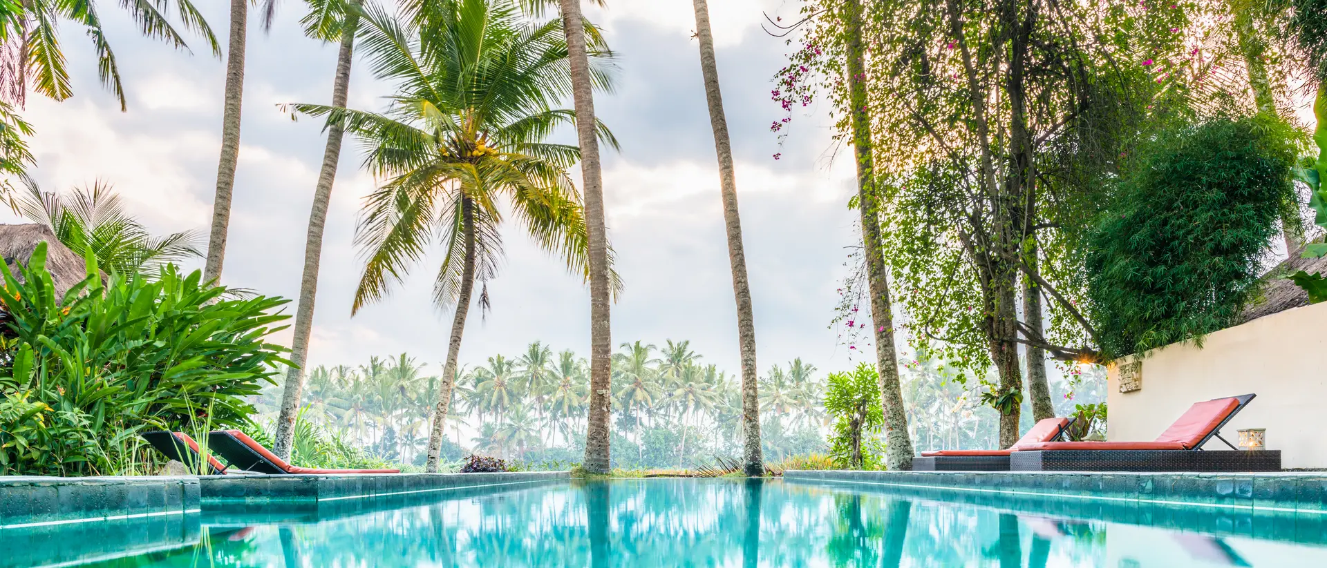Luxury infinity pool and lounge setting in tropical garden landscape with palm trees and rice fields.