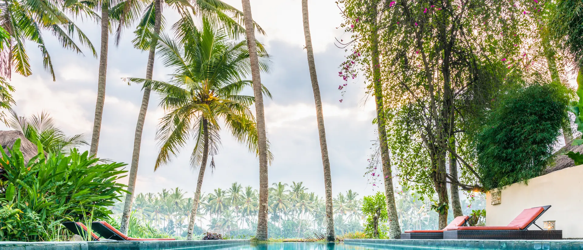 Luxury infinity pool and lounge setting in tropical garden landscape with palm trees and rice fields.