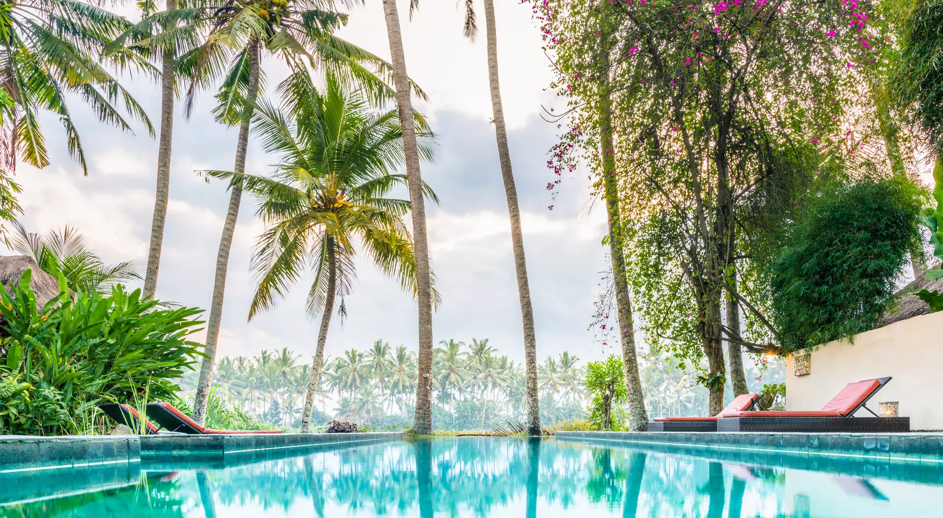 Luxury infinity pool and lounge setting in tropical garden landscape with palm trees and rice fields.