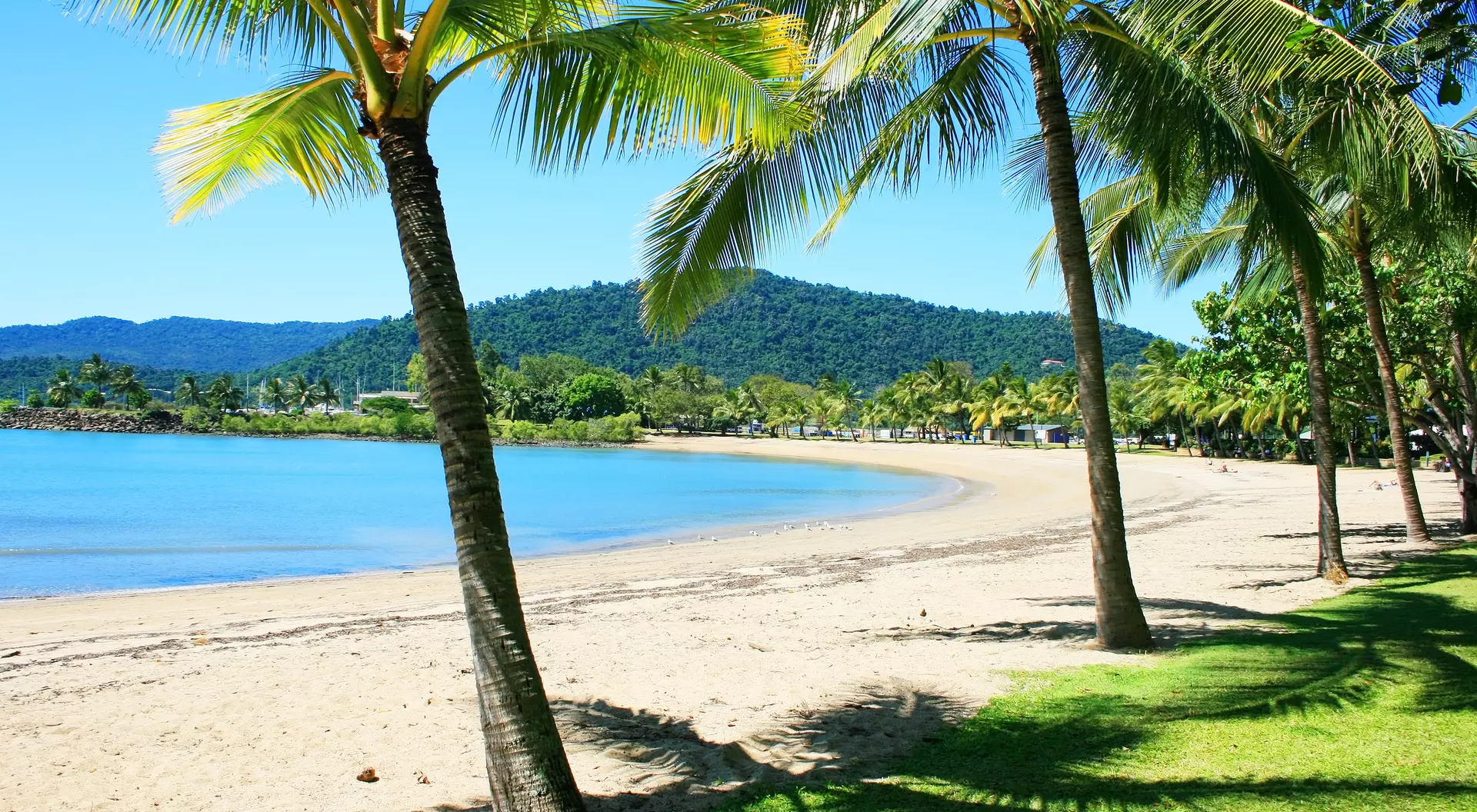 Rex Smeal Park in Port Douglas with tropical palm trees and beach, Australia