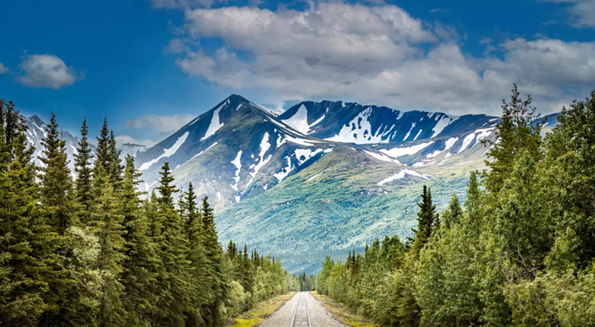 Denali National Park