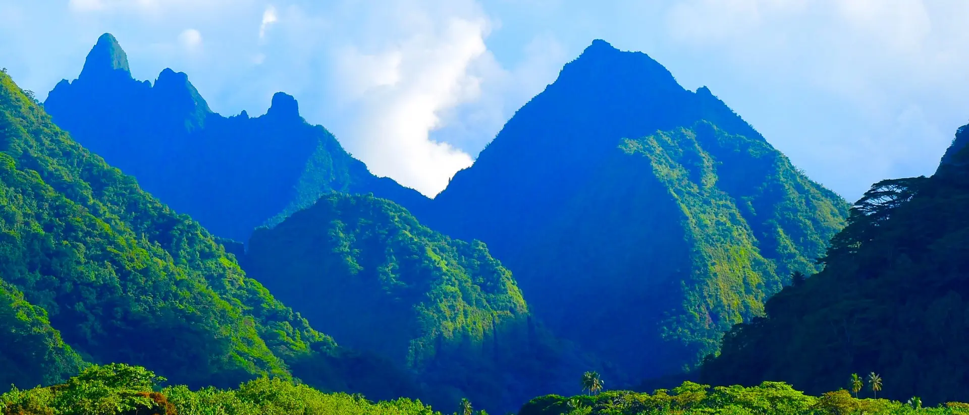 Mountain view