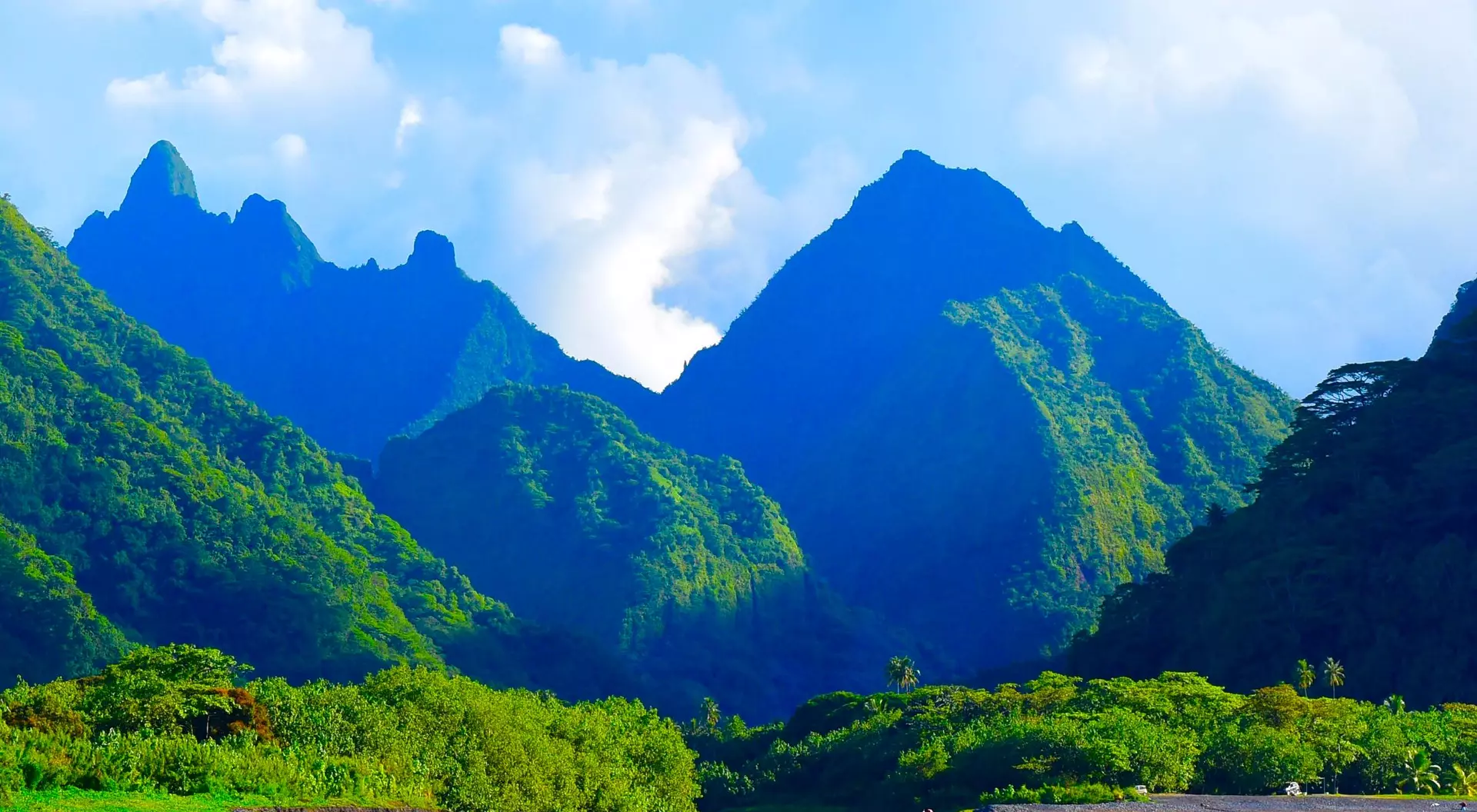 Mountain view