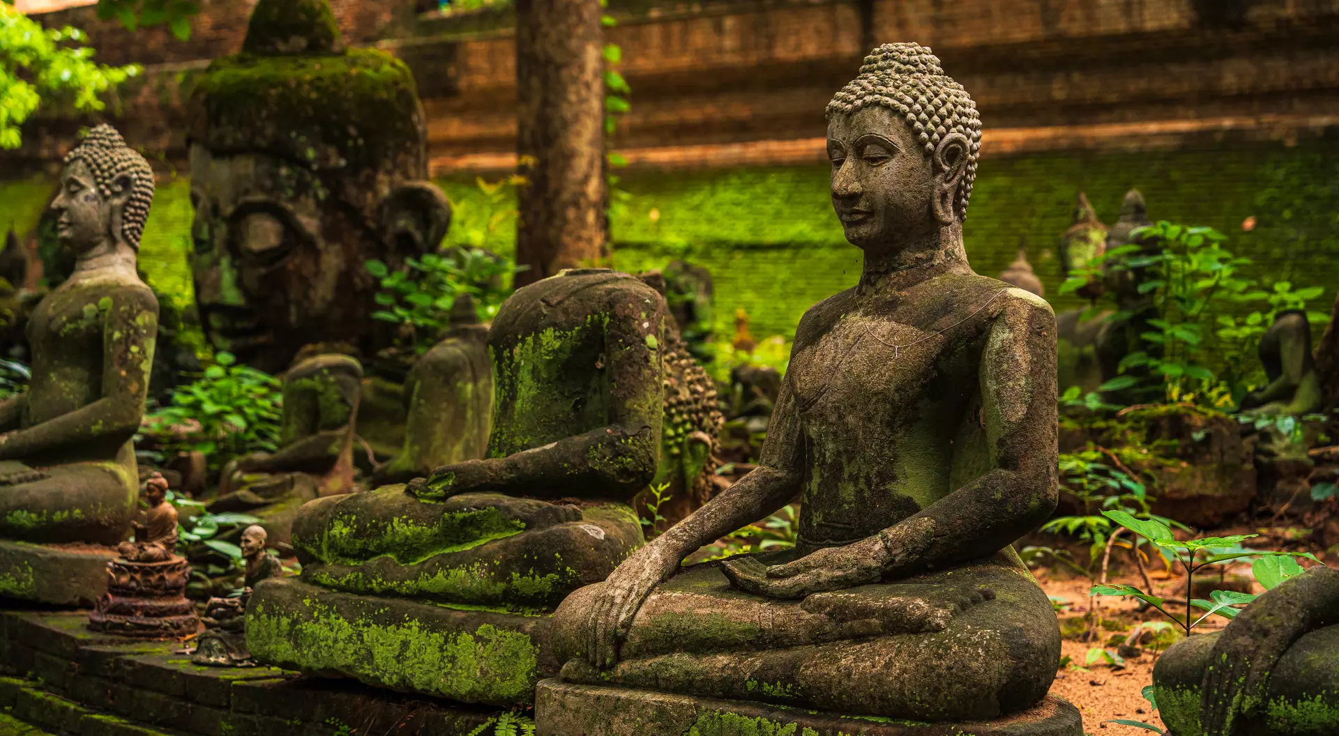 Ancient buddha figures Wat Umong Suan Puthatham is a Buddhist temple in the historic centre and is a Buddhist temple is a major tourist attraction with green forest nature