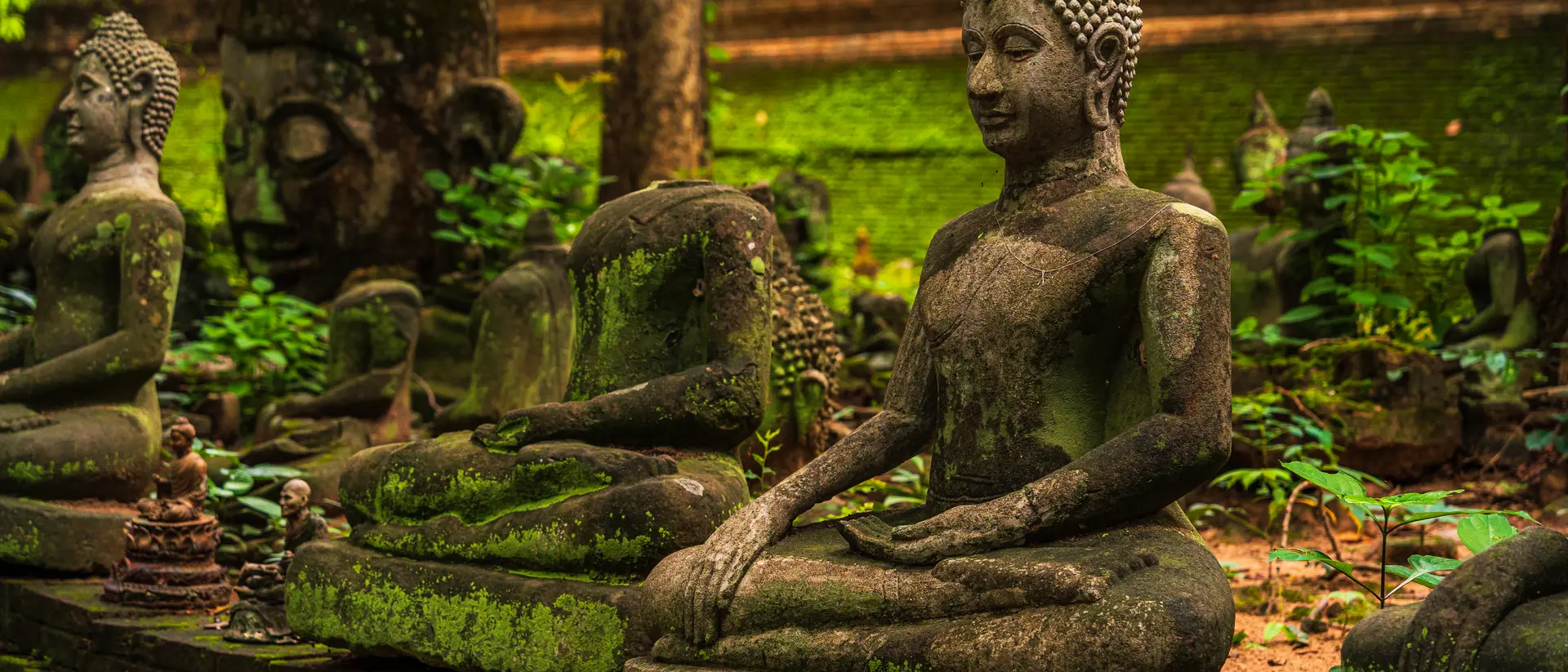Ancient buddha figures Wat Umong Suan Puthatham is a Buddhist temple in the historic centre and is a Buddhist temple is a major tourist attraction with green forest nature 