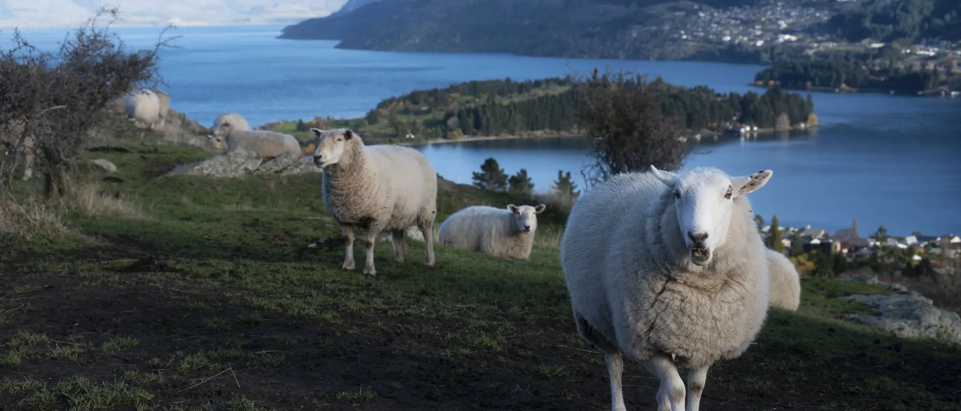 Deer Park Heights with the view of Queenstown, New Zealand South Island