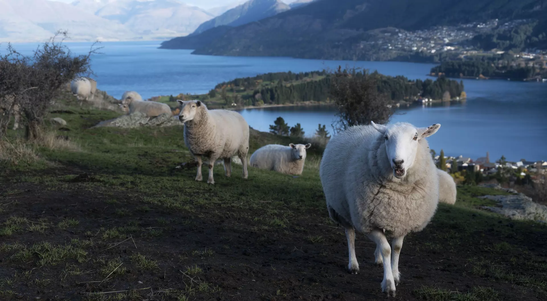 Deer Park Heights with the view of Queenstown, New Zealand South Island