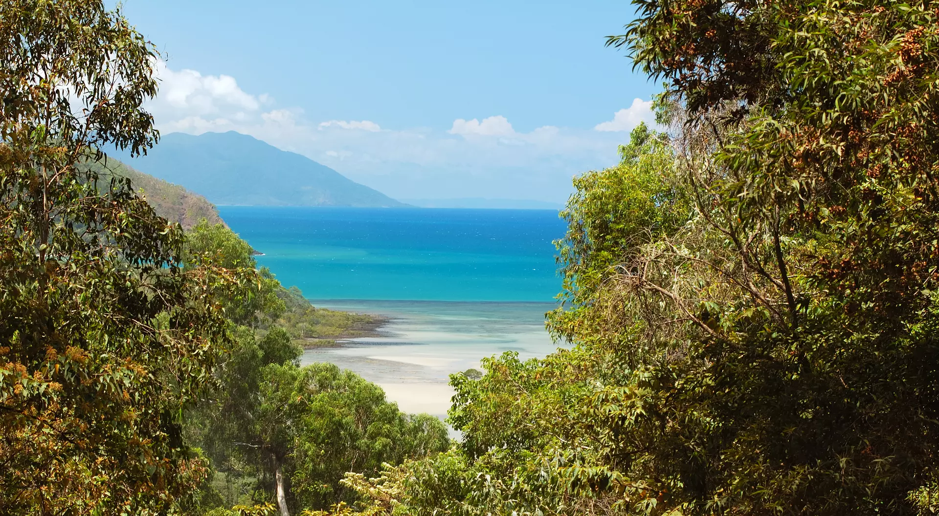 The Daintree National Park,View towards Cape Tribulation and the Stingray Beach.